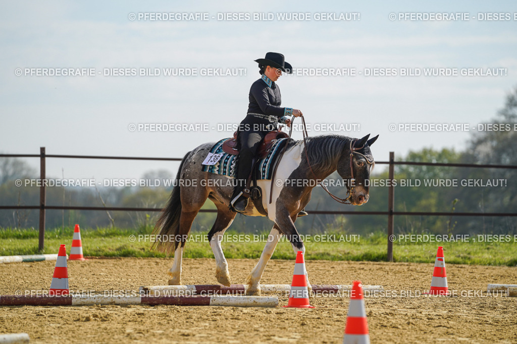 DSC01123 | Pferdegrafie