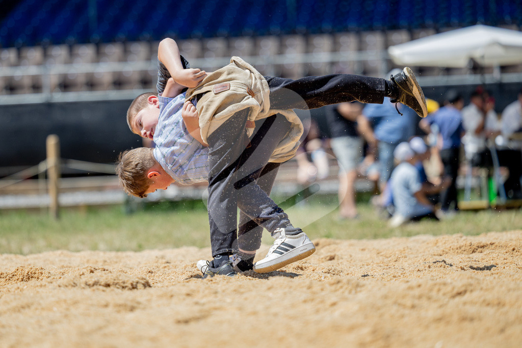SchwyzerJung2026_00052 | Die Schwinger des Schwyzer Kantonalen Schwingerverbandes: Fotos, die Dynamik und Leidenschaft festhalten, sowie emotionale Momente aus dem traditionellen Schwingsport zeigen. - Realisiert mit Pictrs.com
