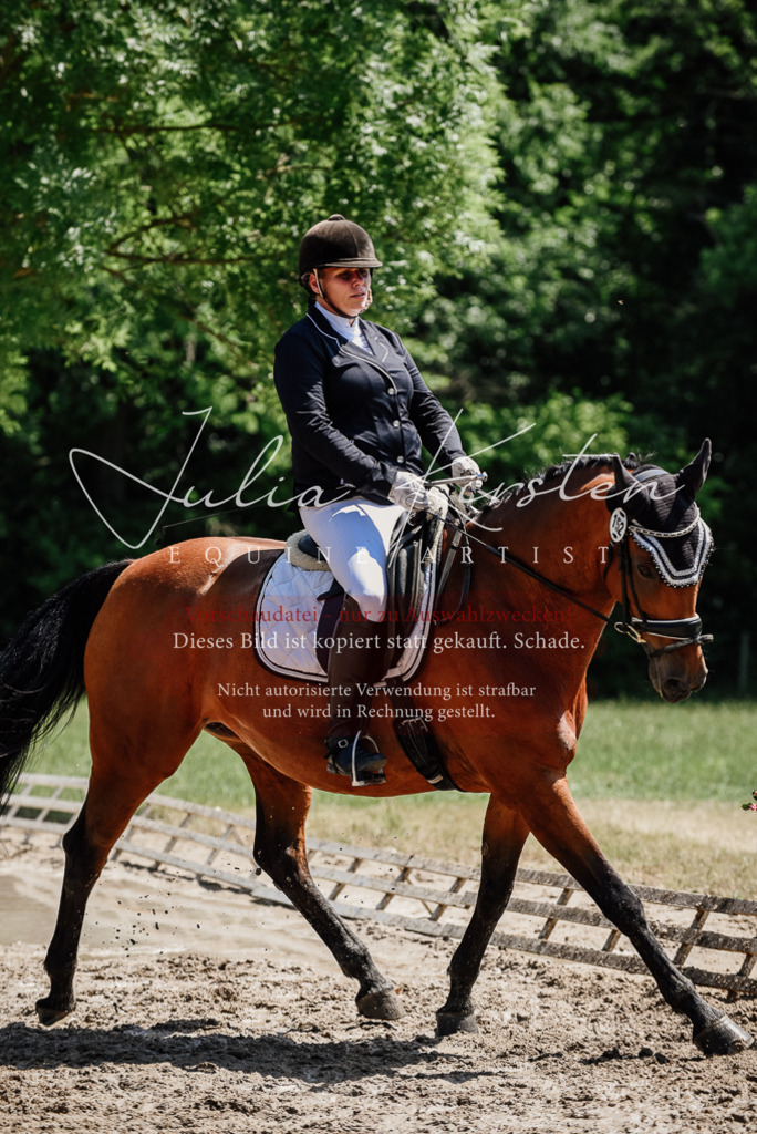DSC_1984 | Pferde- und Turnierfotografie in Westsachsen. Pferdeportraits, Auftragszeichnungen und intuitive Kunst.