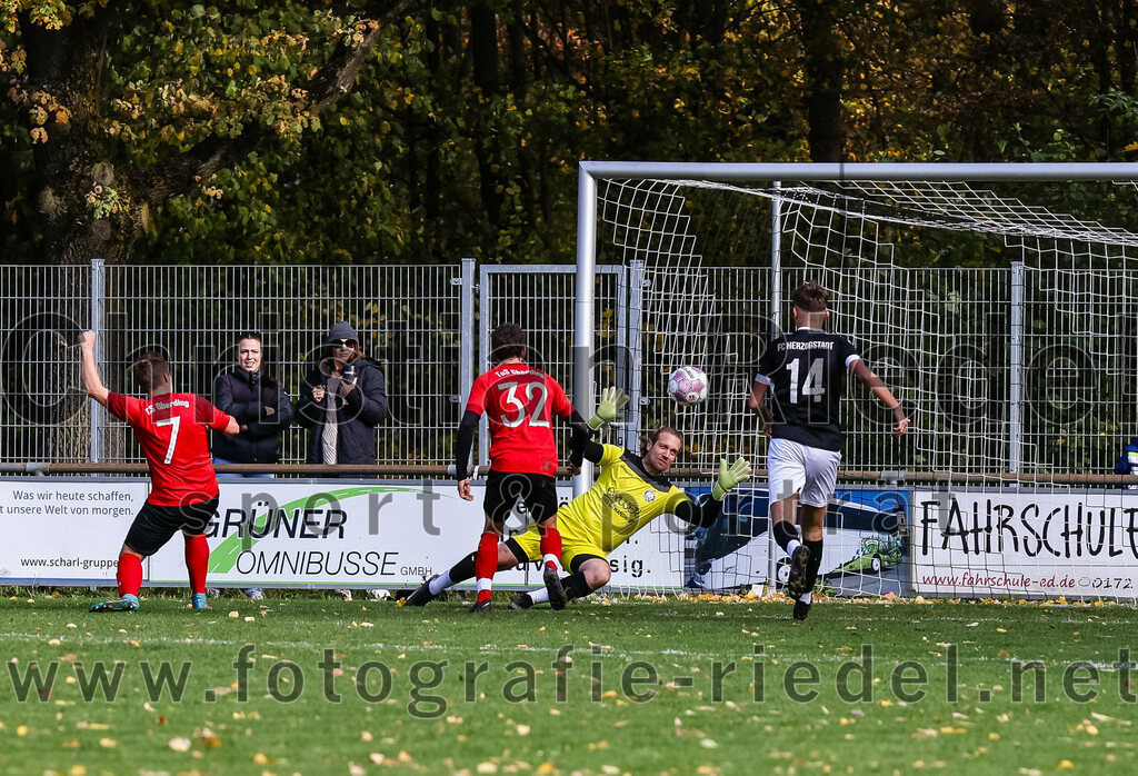 2023-11-05_035_FC_Herzogstadt_gegen_TuS_Oberding | Erding, Deutschland, 05.11.2023:
Fußball, Kreisklasse 2023 / 2024, 14. Spieltag, FC Herzogstadt gegen TuS Oberding, Endergebnis: 4:5

Tor zum 0:2 durch Sebastian Stemmer (TuS Oberding, #7)
Sebastian Stemmer (TuS Oberding, #7), Tobias Götze (TuS Oberding, #32), Torwart Florian Leininger (FC Herzogstadt, #22), Dardan Recica (FC Herzogstadt, #14)

Foto: Christian Riedel / fotografie-riedel.net