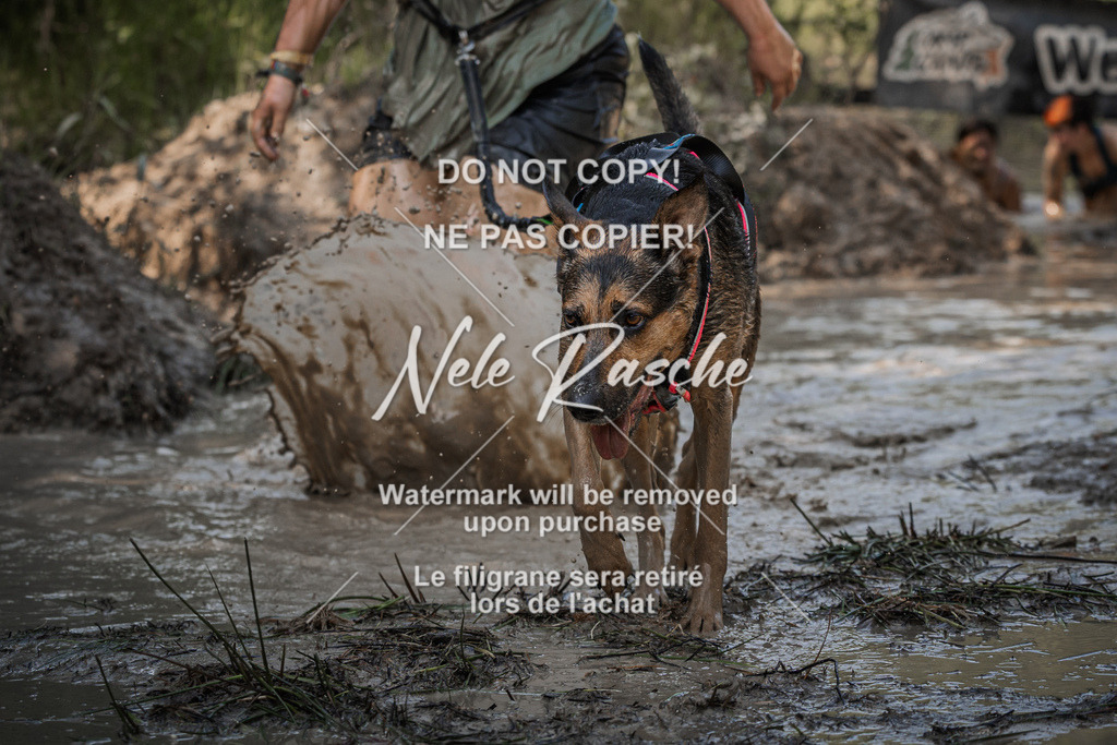 nelerasche_Hoope2026_So1530-1600_245 | nelerasche