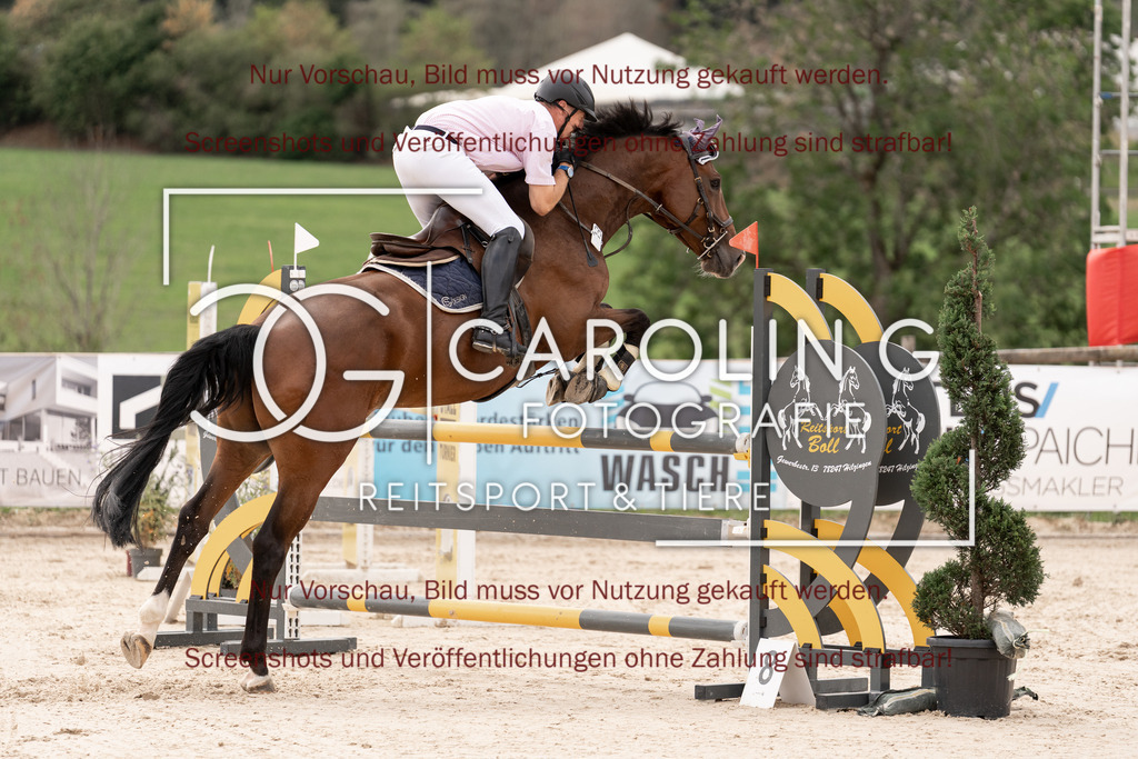 DSC06493 | Springturnier_Teamchallege_Talheim_2026, Andreas_Wittlinger, Charlie_Brown_148