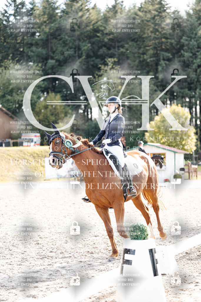 CK901796 | Turnierfotografie Pferdefotografie Trier Rheinland-Pfalz Pferdesport Reitsport Tierfotografie Sportfotografie Pferdevideo Pferdevideografie Equestrianvideography equestrianphotography  - Realisiert mit Pictrs.com