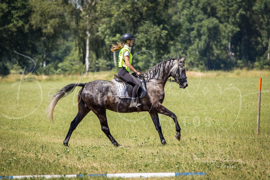 CJP_2026-06-26_73 | Stimmungsvolle Fotografie von Pferden, fotografische Begleitung von Veranstaltungen, Golfturnieren und Distanzritten - Realisiert mit Pictrs.com
