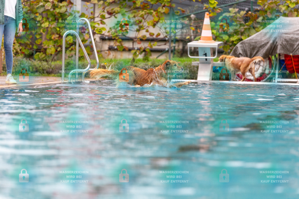 _HP_6067_1000o | HetPix, HetPix Fotodesign, Fotografie, Fotodesign, Webshop, Sportfotografie, Portraitfotografie, Onlineshop, Sportfotografie, Polch, Motorsportfotografie, Eventfotografie