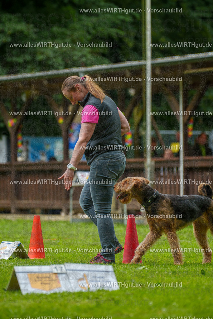 @allesWIRTHgut_Tierfotografie - www.allesWIRTHgut.de - 123959-7R509262 | Professionelle Tierfotografie in Mönchengladbach von Daniel Wirth (allesWIRTHgut). Liebevolle & natürliche Bilder von Hunden & Katzen für unvergessliche Erinnerungen.
