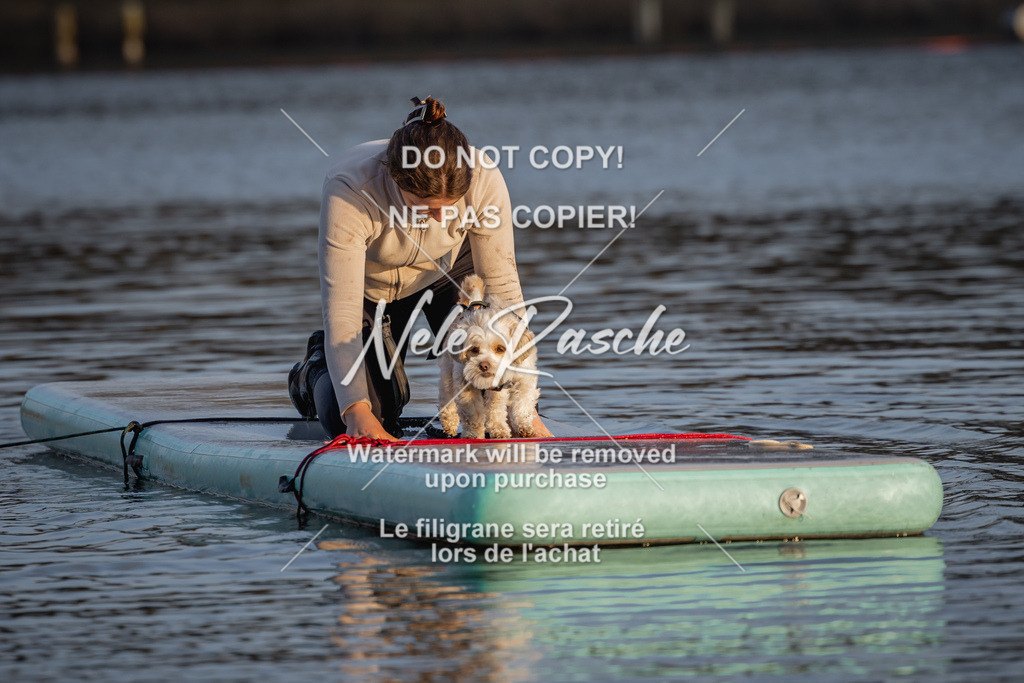 nelerasche_Hulsbeek_Sa1730-Ende_131 | nelerasche