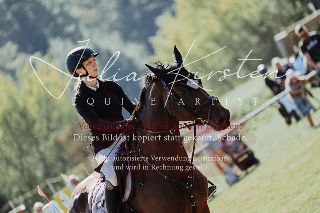 DSC_5624 | Pferde- und Turnierfotografie in Westsachsen. Pferdeportraits, Auftragszeichnungen und intuitive Kunst.