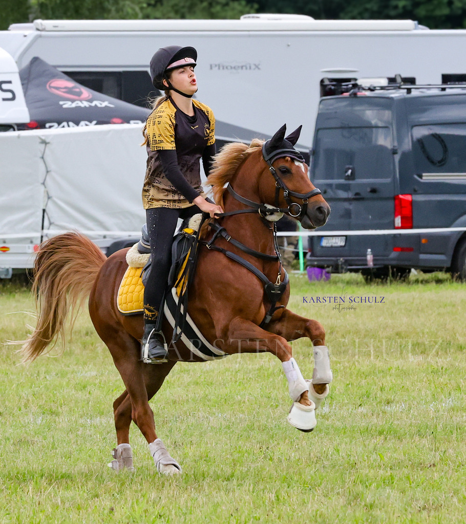 1B3A0809 | Reitsport Reiten