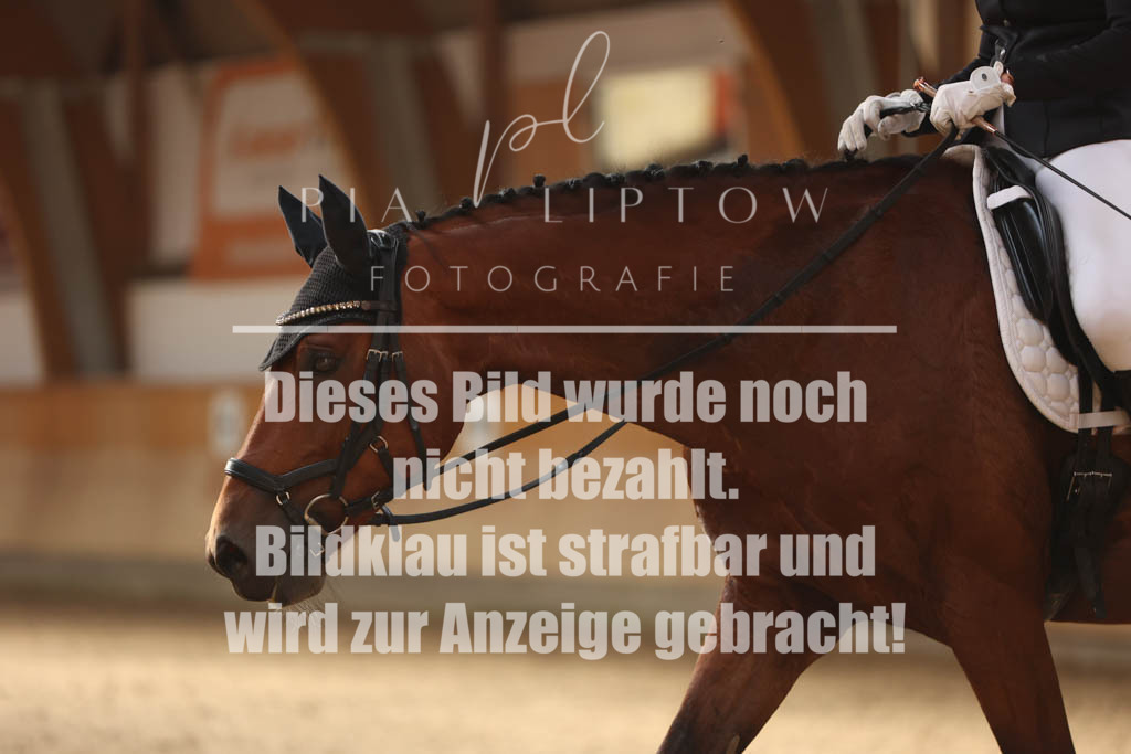 IMGS0941 | pl-fotografie