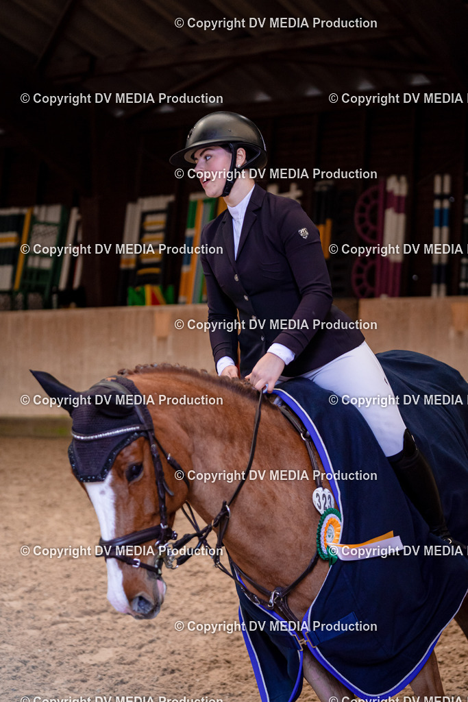 Springen Tag 1-490 | dv-media-shop - Realisiert mit Pictrs.com