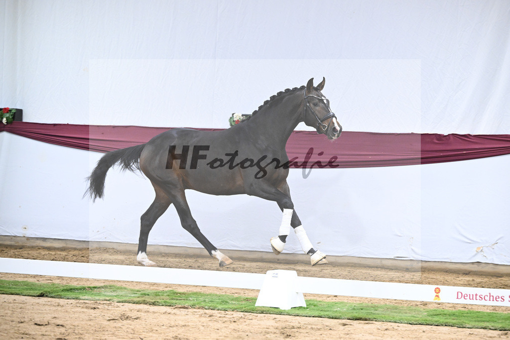 Kat-Nr. 42 So Perfect x Dancier_ZG Nahm_47251482 | hf-fotografie - Realisiert mit Pictrs.com