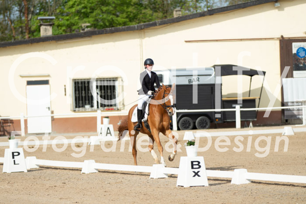 IMG_0755 | Creatify Fotografie