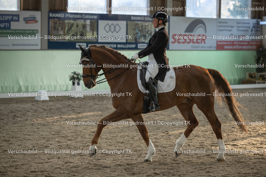 _D5A0844 | Emotionale Pferde- & People-Fotografie rund um Heidelberg, Leimen & Umgebung. Natürliche Fotos von Pferd, Mensch & Familie. Jetzt Termin sichern!