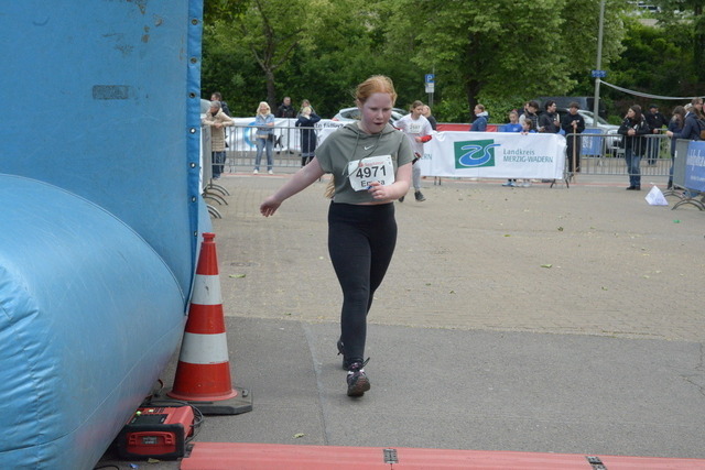12-03-26_ | Meisterchip Fotoshop - Realisiert mit Pictrs.com
