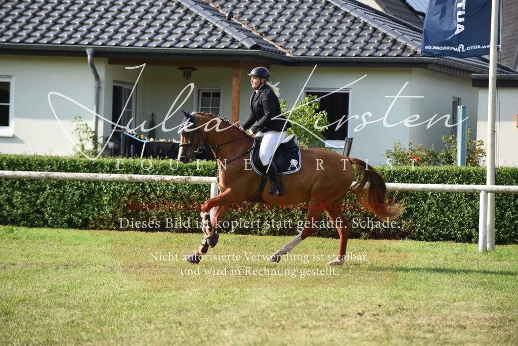 DSC_8697 | Pferde- und Turnierfotografie in Westsachsen. Pferdeportraits, Auftragszeichnungen und intuitive Kunst.