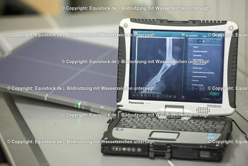 TS_20170113_R__ntgenbilder_0003 | Foto: Thomas Hartig