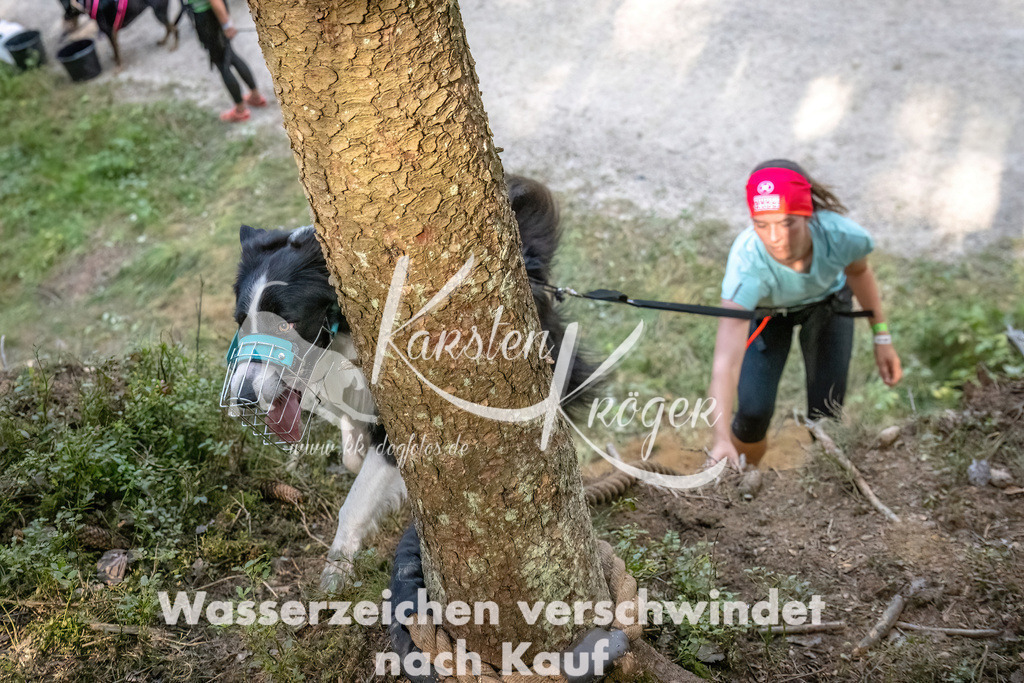 1051_ZZ93083 | kk-dogfotos