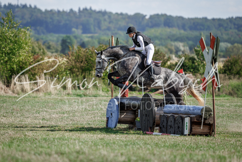 20260905-_3LI9766 | Tierfotografie Pferde, Hunde, Katzen, Haustiere.
Turnierfotografie Reitturniere, Reiten, Springreiten, Dressur in Hanau, dem Main-Kinzig-Kreis und dem Rhein-Main- Gebiet um Frankfurt