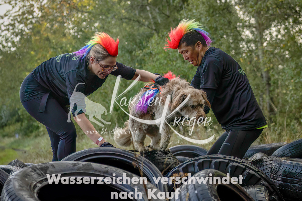 1011_ZZ93810-Bearbeitet | kk-dogfotos