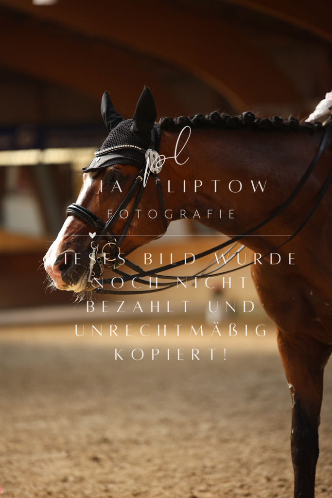 IMGM7111 | pl-fotografie