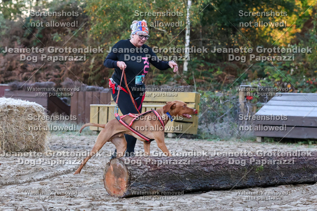 Dog Paparazzi - Strongdog 10-25-36 | Dog Paparazzi Jeanette Grottendiek Fotografie & Videografie - Realisiert mit Pictrs.com