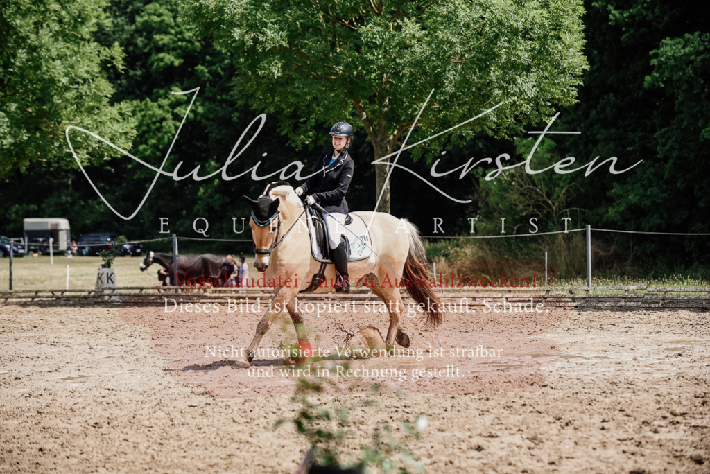 DSC_1689 | Pferde- und Turnierfotografie in Westsachsen. Pferdeportraits, Auftragszeichnungen und intuitive Kunst.