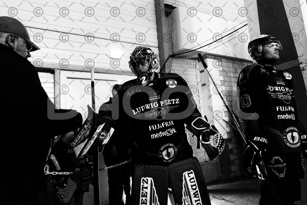 Alligators_vs_Bayreuth_19_10_2025-33 | Höchstadt Alligators Fotogalerie: Eishockey-Action aus Franken. Professionelle Spielfotos, Portraits & Stadionbilder zum Download. Jetzt entdecken! - Realisiert mit Pictrs.com