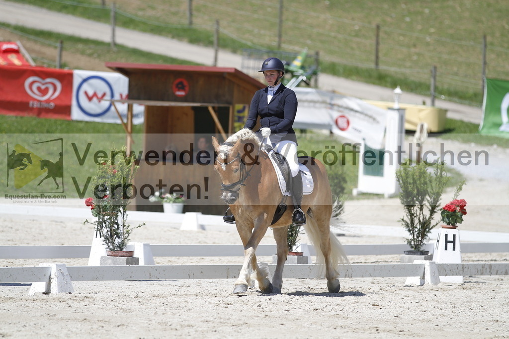 _MG_5230 | equestrian-live-com