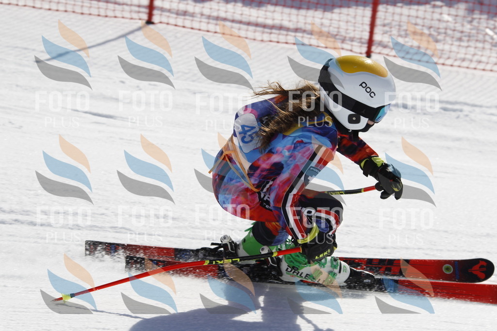 _U3G9320 | holidayphoto