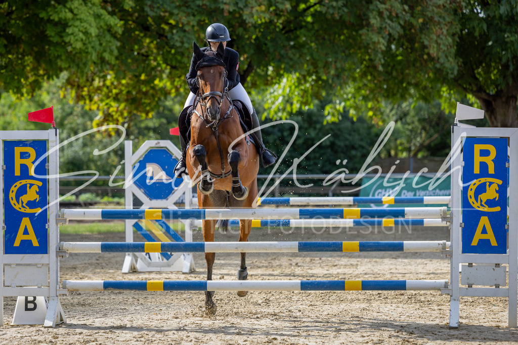 20260905-_3LI7318 | Tierfotografie Pferde, Hunde, Katzen, Haustiere.
Turnierfotografie Reitturniere, Reiten, Springreiten, Dressur in Hanau, dem Main-Kinzig-Kreis und dem Rhein-Main- Gebiet um Frankfurt