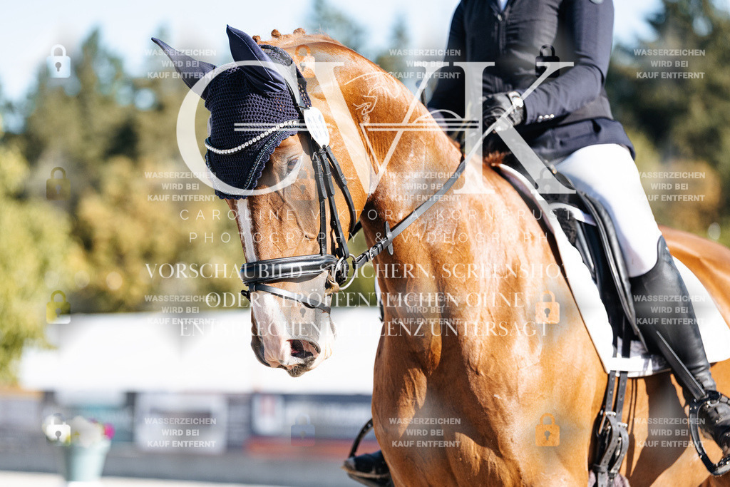 CK907710 | Turnierfotografie Pferdefotografie Trier Rheinland-Pfalz Pferdesport Reitsport Tierfotografie Sportfotografie Pferdevideo Pferdevideografie Equestrianvideography equestrianphotography  - Realisiert mit Pictrs.com