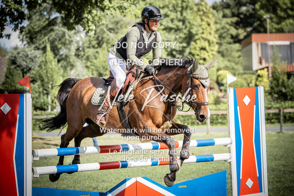 nelerasche_SprL115Ede_65 | nelerasche