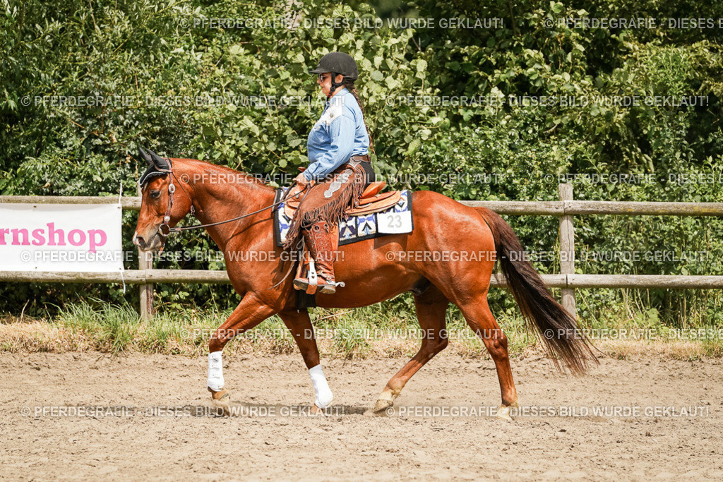 DSC00084 | Pferdegrafie