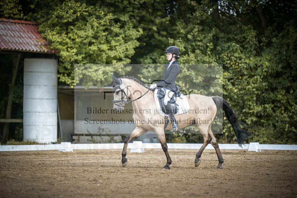 DOS_0643 | Entdecke hochwertige Reitturnierfotos von Foto Oger. Professionell, emotional und authentisch – jetzt Lieblingsmomente im Shop bestellen.Deutschlandweite Turnierfotografie. - Realisiert mit Pictrs.com