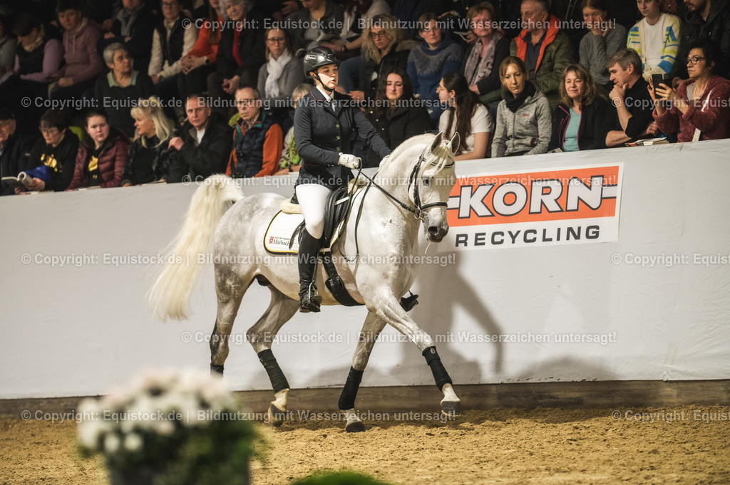 20240302_Hengstvorstellung_Marbach_TOMsPiC_1058 | equistock