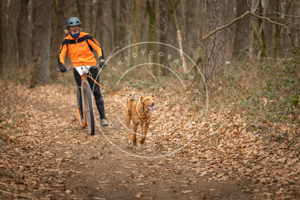 Pfotenfotografie_DV3A0766 | Hundefotografie, Tierfotograf, Pfotenfotografie, Fotoshooting Hund, Hunde Portrait, Hundesport, Hundeportraits, Heideshooting, Hunde, Sportfotograf, Hundefotograf, Turnierhundsport, THS,  - Realisiert mit Pictrs.com
