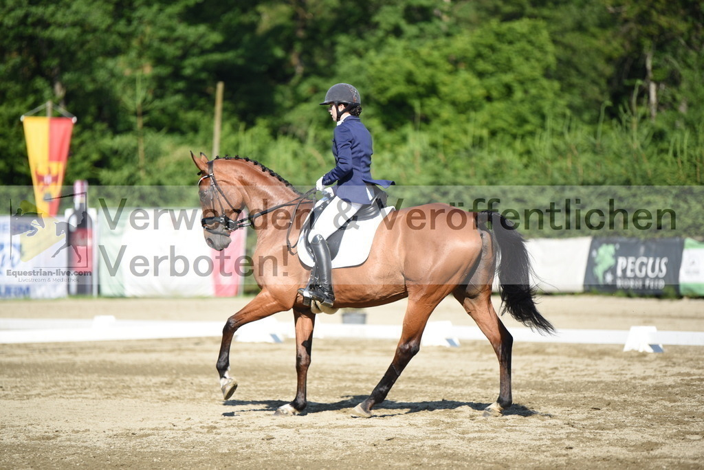 DSC_7202 | equestrian-live-com