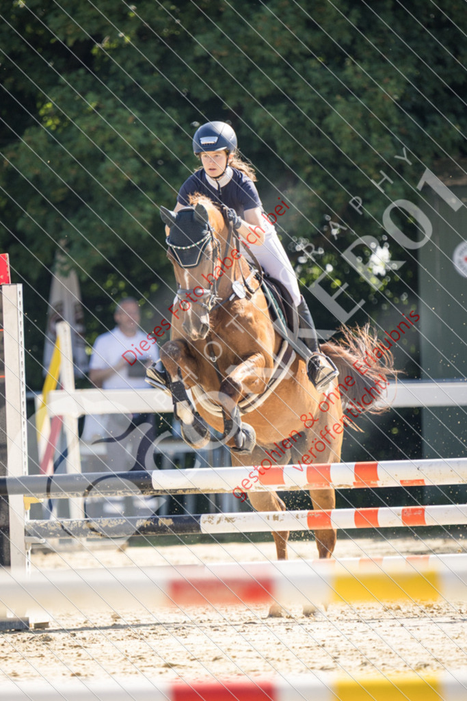 IMG_2844 | Sport-, Event- und Tierfotos in Profiqualität. Einfach auswählen, bestellen und herunterladen. Dein Moment – perfekt festgehalten.