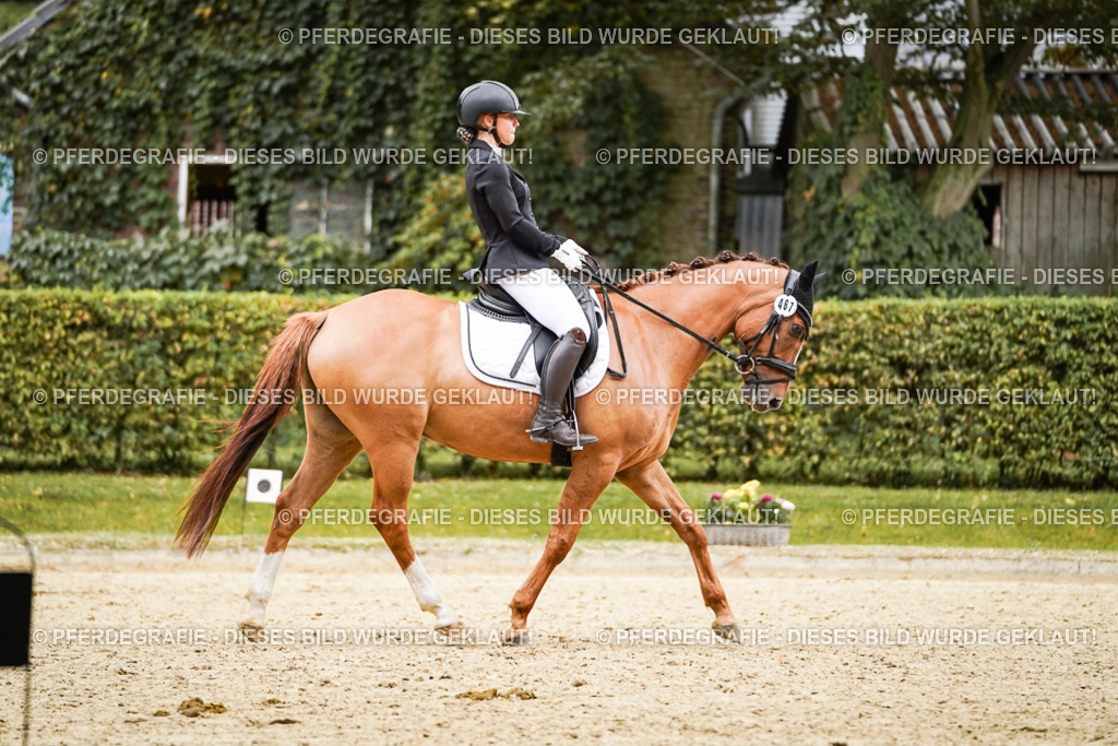 DSC08037 | Pferdegrafie