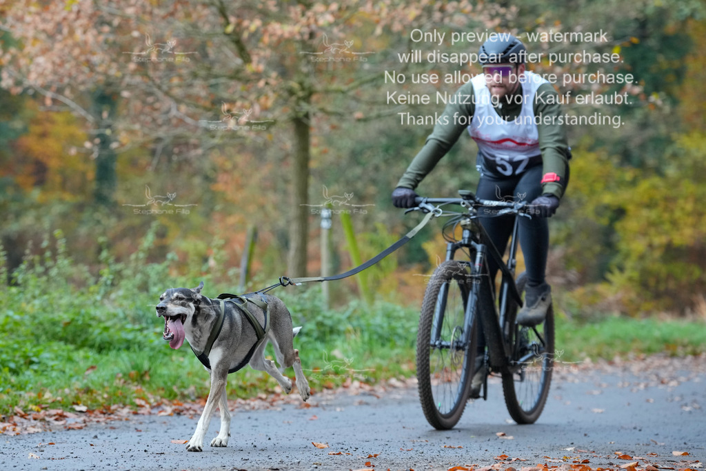 Bike_So-138 | stephaniefillaphotographie - Realisiert mit Pictrs.com