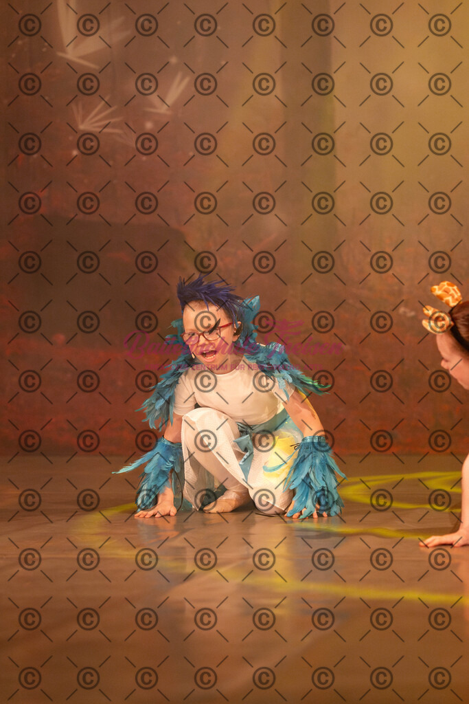 Ballettaufführung-1719 | Bildershop Lem'n Entertainment - Realisiert mit Pictrs.com