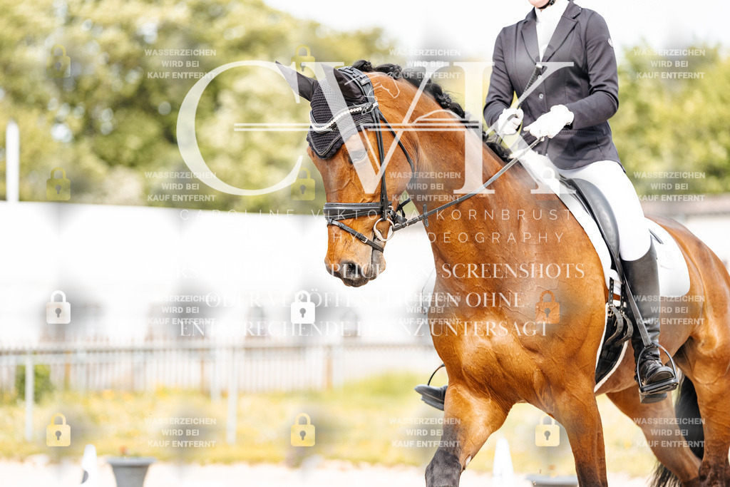 CK900771 | Turnierfotografie Pferdefotografie Trier Rheinland-Pfalz Pferdesport Reitsport Tierfotografie Sportfotografie Pferdevideo Pferdevideografie Equestrianvideography equestrianphotography  - Realisiert mit Pictrs.com