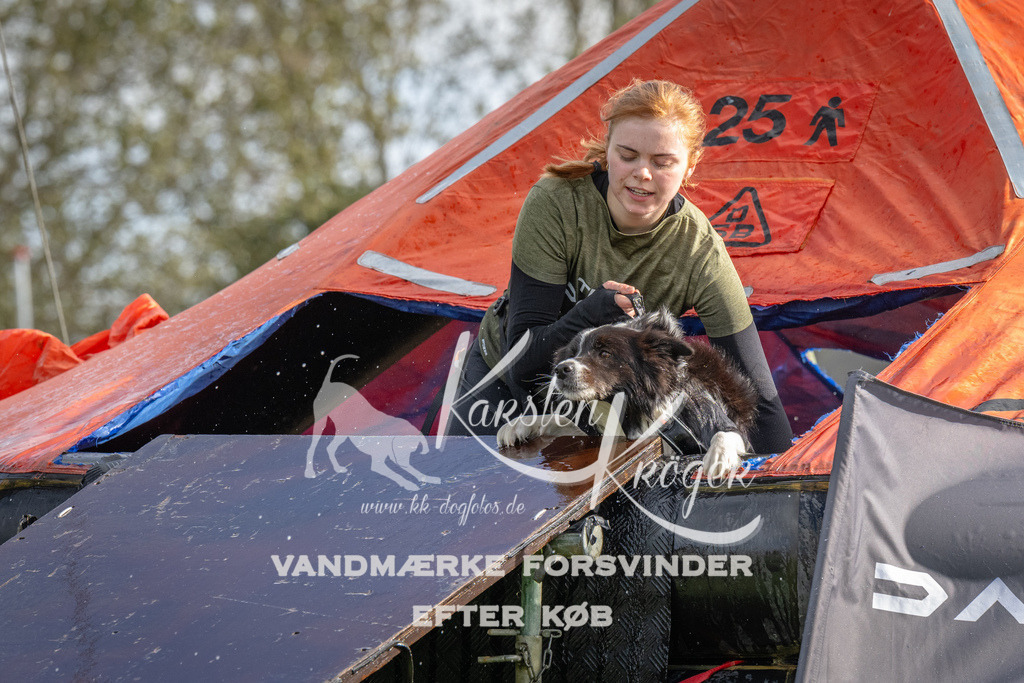 1215-93013 | kk-dogfotos