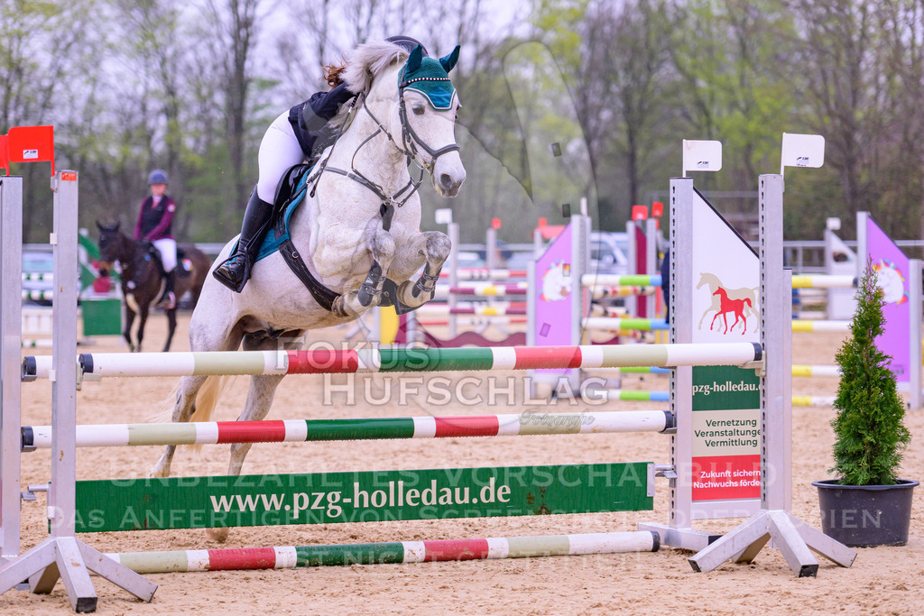 12042026-Mammendorf-Prfg41-0157 | Fokus Hufschlag Fotografie - Realisiert mit Pictrs.com