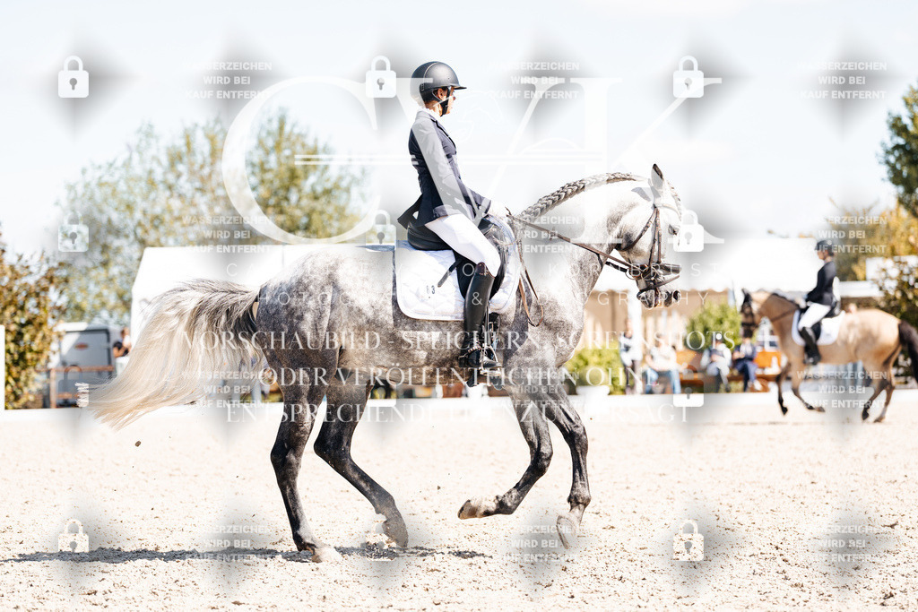 CK903830 | Turnierfotografie Pferdefotografie Trier Rheinland-Pfalz Pferdesport Reitsport Tierfotografie Sportfotografie Pferdevideo Pferdevideografie Equestrianvideography equestrianphotography  - Realisiert mit Pictrs.com