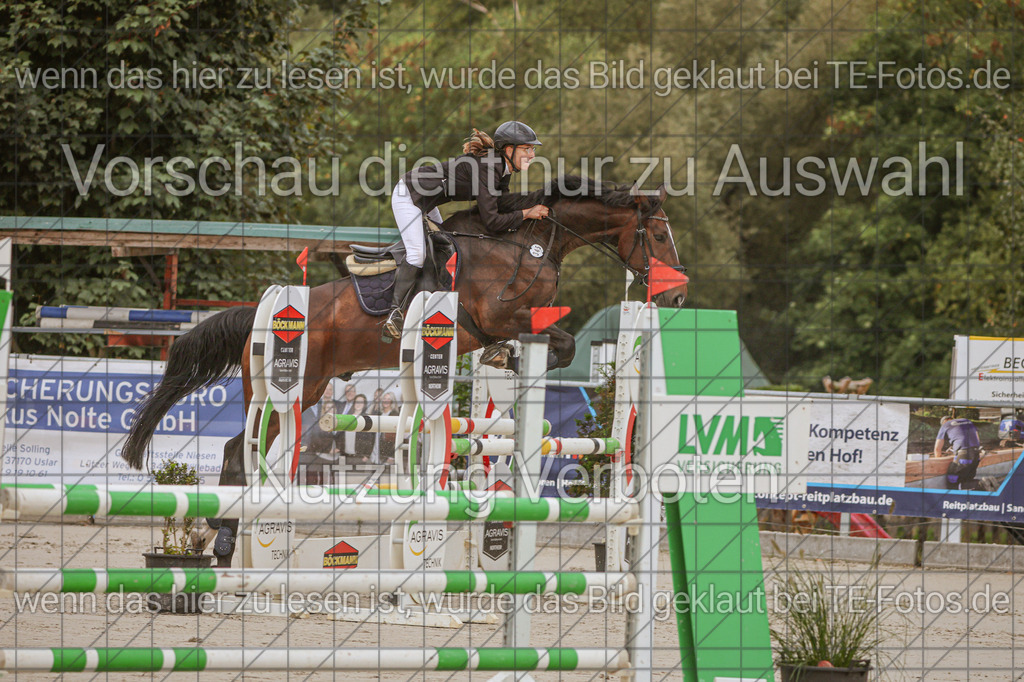 2025-09-22_09-36-57_MG_3937 | TE-Fotos