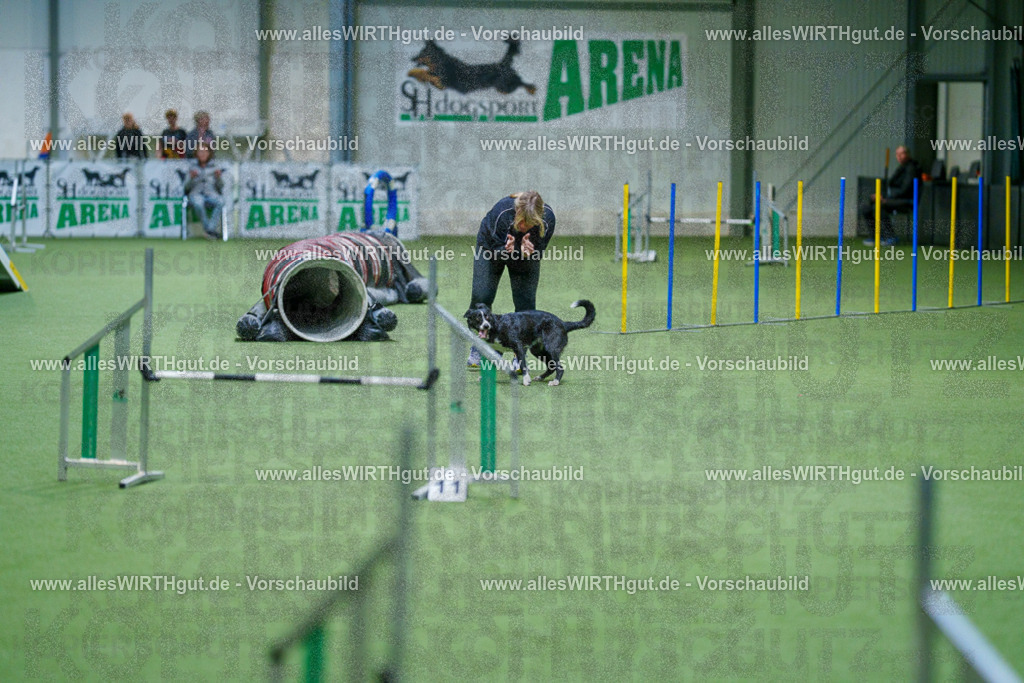 @allesWIRTHgut_Tierfotografie - www.allesWIRTHgut.de - 2604250813-7R505847 | Professionelle Tierfotografie in Mönchengladbach von Daniel Wirth (allesWIRTHgut). Liebevolle & natürliche Bilder von Hunden & Katzen für unvergessliche Erinnerungen.