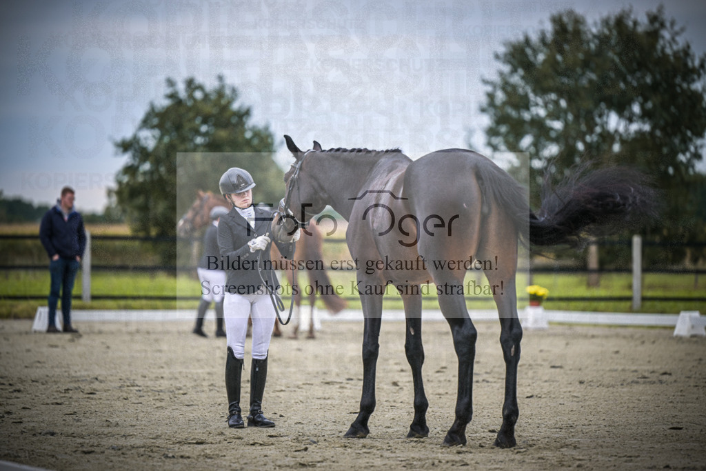 DOS_1206 | Entdecke hochwertige Reitturnierfotos von Foto Oger. Professionell, emotional und authentisch – jetzt Lieblingsmomente im Shop bestellen.Deutschlandweite Turnierfotografie. - Realisiert mit Pictrs.com