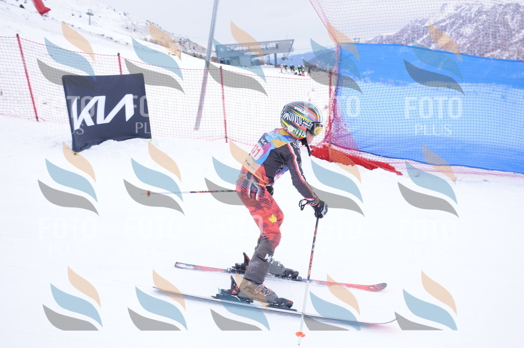 DSC_8597 | holidayphoto